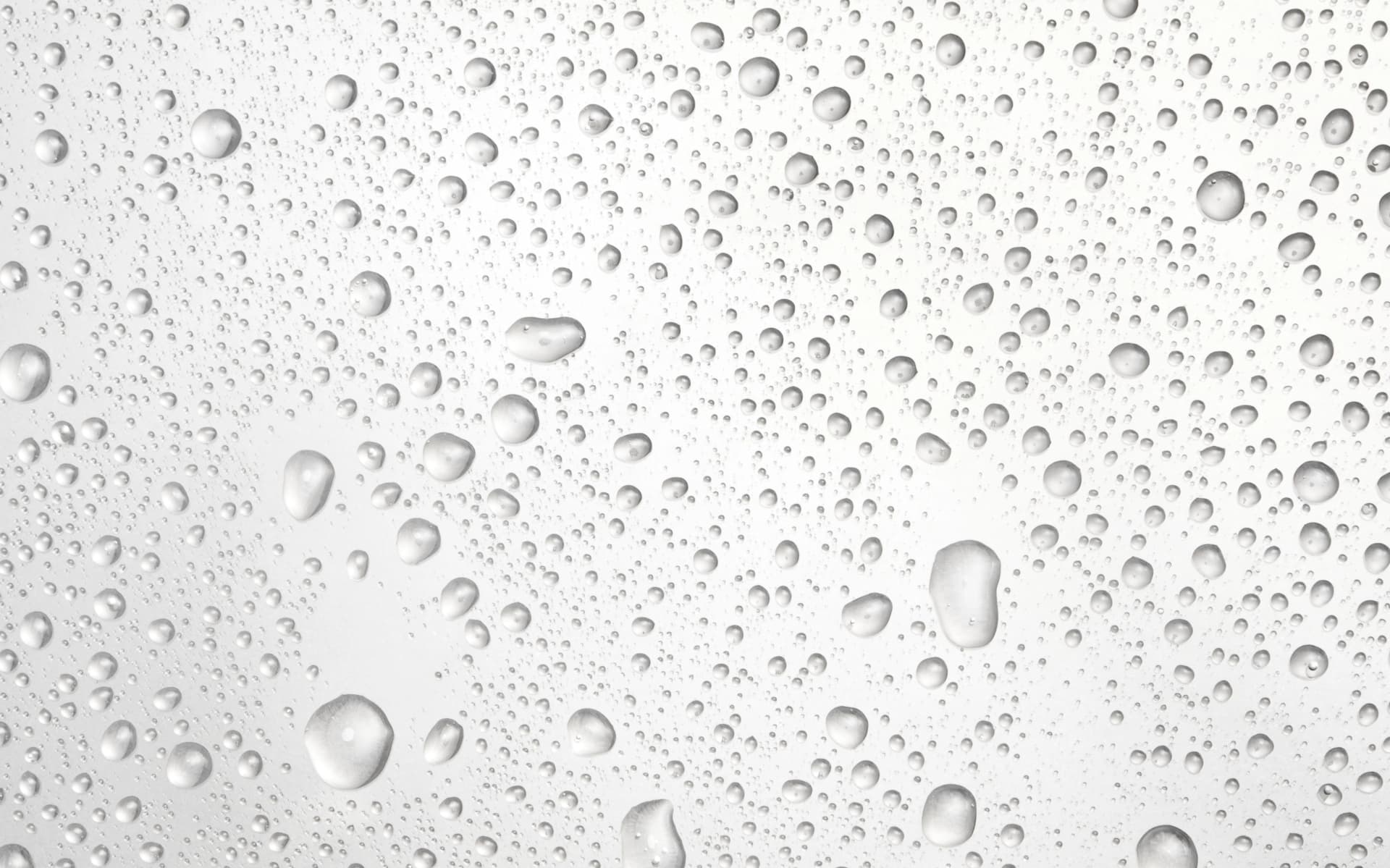 Second Banner Image