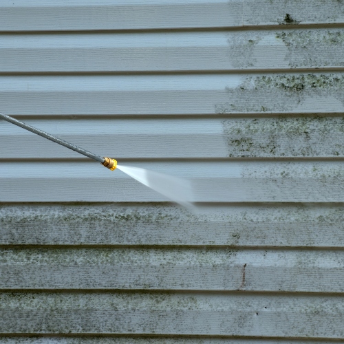 How House Washing Protects Vinyl Siding From Algae and Mildew